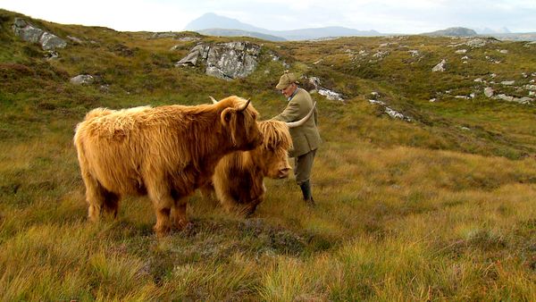 Wild Moments - Traditions 1