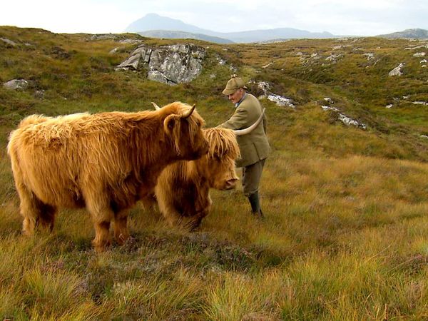 Wild Moments - Traditions 1