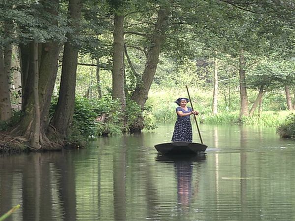 Wild Moments - Traditions 2