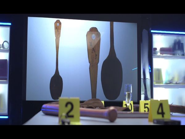 Crime Scene Solvers - A Fatal Student Night (Ste´phane Kameugne Case)