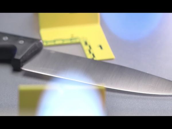 Crime Scene Solvers - A Mysterious Murder at the Farm (Vale´rie Bary Case)