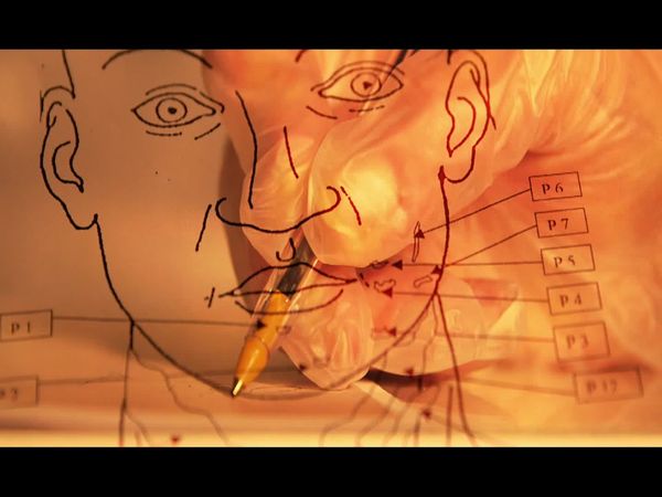 Crime Scene Solvers - The Savage Murder of a Mother and her Daughter (Amato Case)