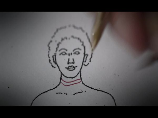 Crime Scene Solvers - A Dire Deception (Laurence Maille Case)