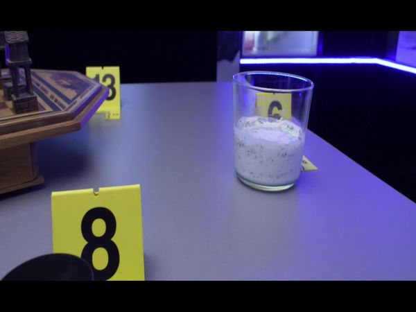 Crime Scene Solvers - The Pierre and Gabrielle Labrell Case