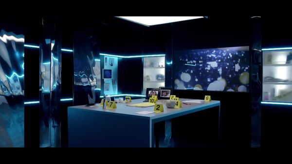 Crime Scene Solvers - The Adeline Piet Case