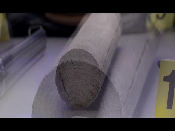Crime Scene Solvers - The Nelly Crémel Case
