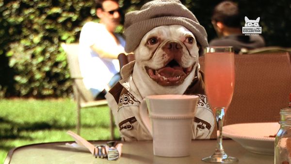 Horário Nobre Animal - Episódio 2