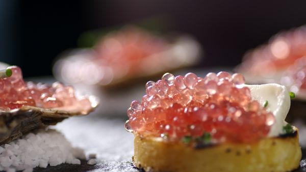 Cook Like a Chef - Derek Dammann: Allium