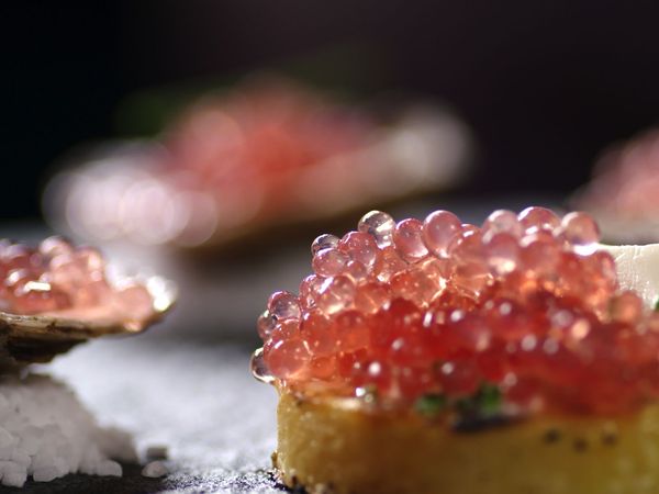 Cook Like a Chef - Derek Dammann: Allium