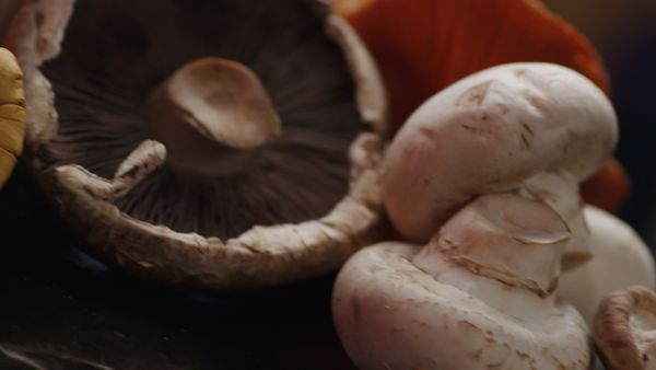 Cook Like a Chef - Katie Ardington: Mushrooms