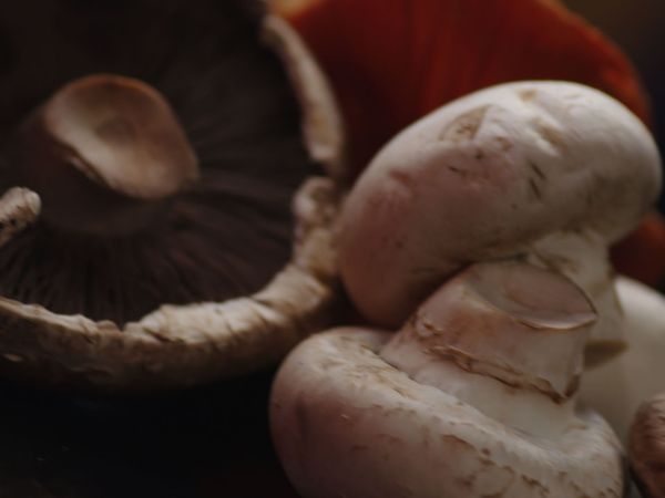 Cook Like a Chef - Katie Ardington: Mushrooms