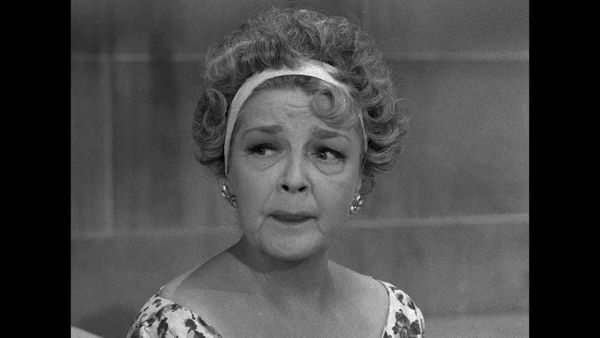 The Beverly Hillbillies - The Garden Party