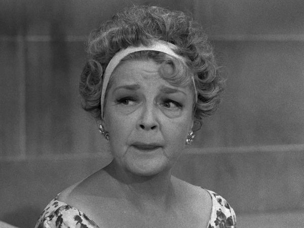 The Beverly Hillbillies - The Garden Party
