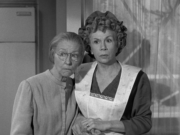 The Beverly Hillbillies - The Family Tree