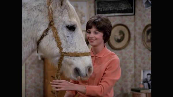 Laverne & Shirley - The Horse Show