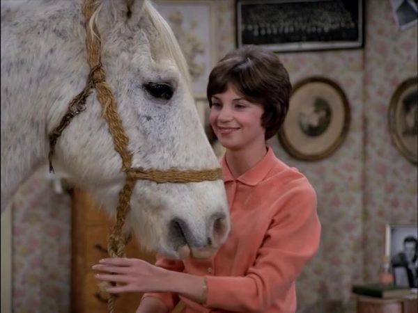 Laverne & Shirley - The Horse Show