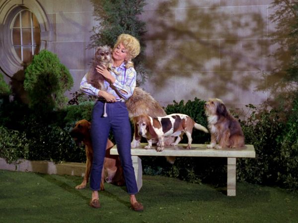 The Beverly Hillbillies - Possum Day