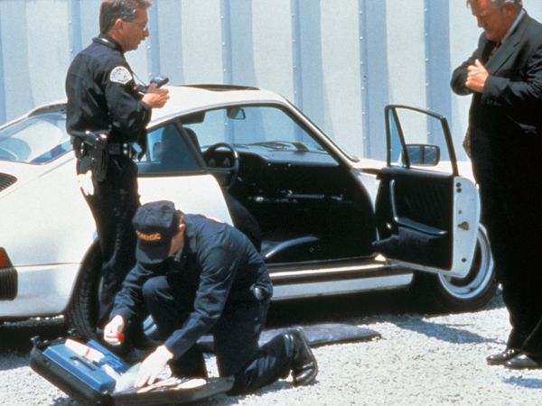 Les Procureurs - La veuve aux billets verts
