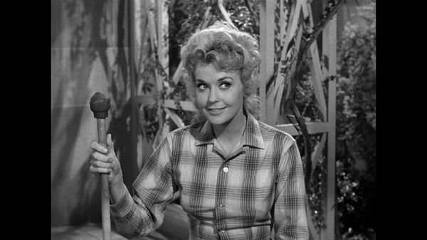 The Beverly Hillbillies - Granny's Spring Tonic