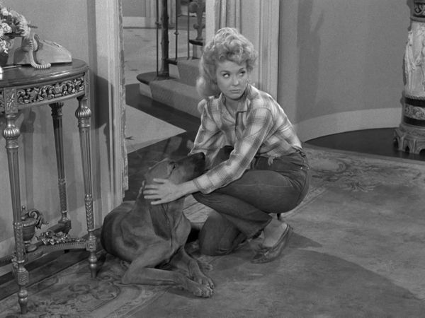 The Beverly Hillbillies - Elly's Animals