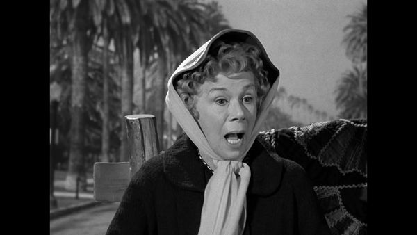 The Beverly Hillbillies - Jed's Dilemma