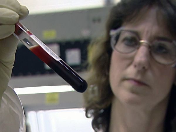 Diagnostic: Inconnnu - Sang contaminé