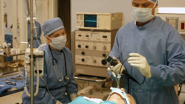 Diagnostic: Inconnnu - Envahisseur étranger
