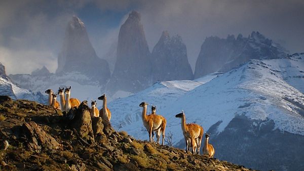 World's Greatest - Mountains