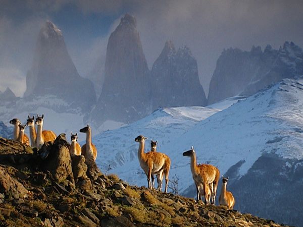 World's Greatest - Mountains