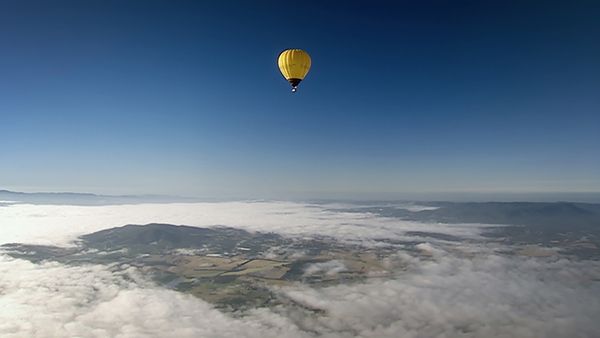 World's Greatest - Flights