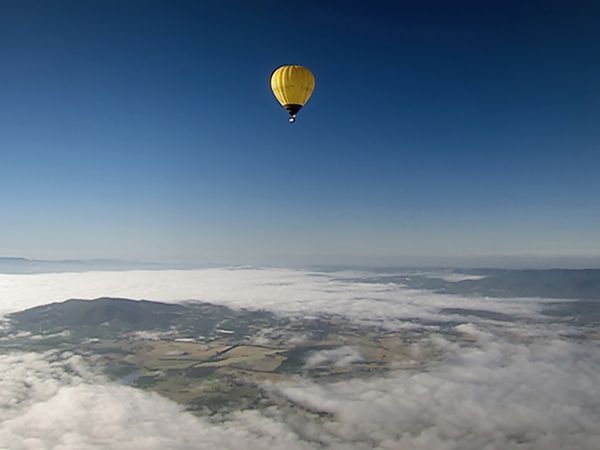 World's Greatest - Flights