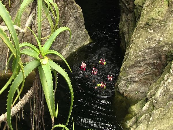Siyaya - Come Wild With Us - Al Parque Nacional River's End Garden Route