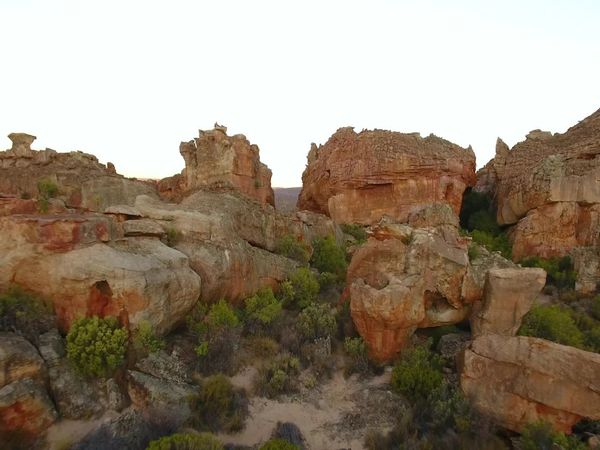 Siyaya - Come Wild With Us - Cederberg - La Biblioteca Secreta