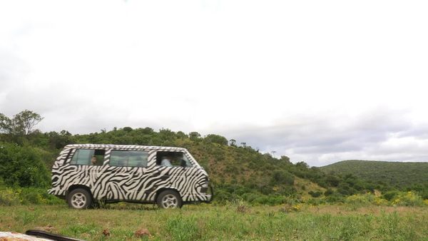Siyaya - Come Wild With Us - En búsqueda de los Siete Grandes - Parte 2: El Jardín del Edén-Parque Nacional Addo