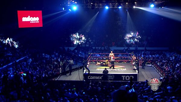 Lucha libre AAA - Xalapa I