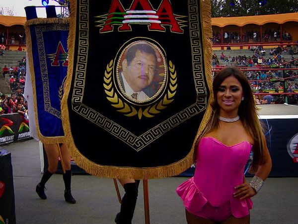 Lucha libre AAA - Apizaco I