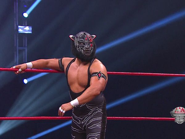 Lucha libre AAA - Querétaro I