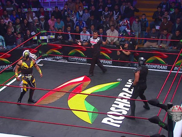 Lucha libre AAA - Metepec II