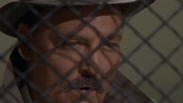 Mike Hammer, Private Eye - Halloween