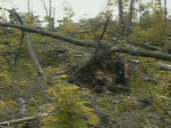 Storm Warning - Episodio 14