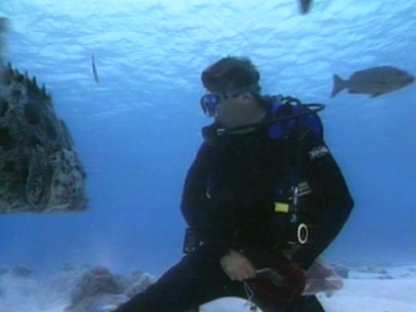 Extreme Contact - Aventura de grupo gigante