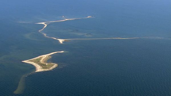 Wild Baltic - Life on the Amber Coast