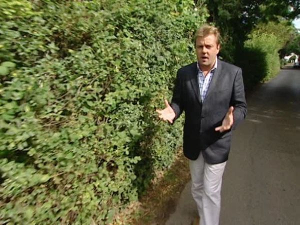 Homes Under The Hammer - Episode 7