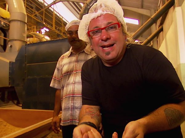 The Delinquent Gourmet - Jamaica