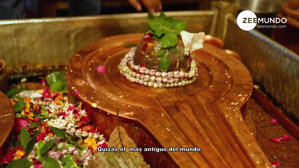 El alma de India: los festivales - Maha Shivratri