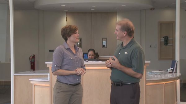 Designing Spaces - The energy efficient and sustainable home