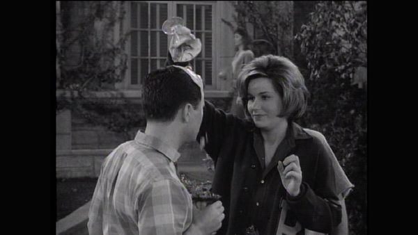 The Many Loves Of Dobie Gillis - The Call Of The, Like, Wild