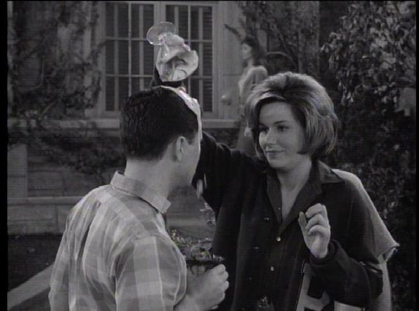 The Many Loves Of Dobie Gillis - The Call Of The, Like, Wild