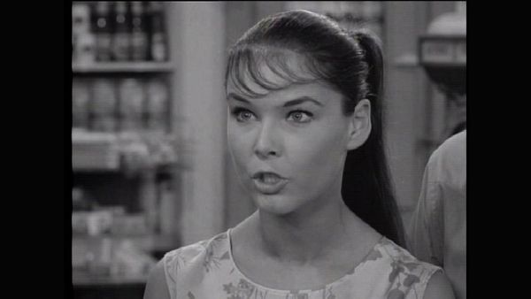 The Many Loves Of Dobie Gillis - Flow Gently, Sweet Money