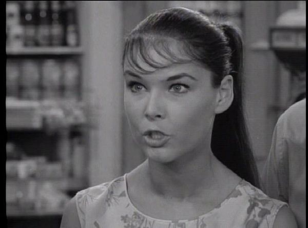 The Many Loves Of Dobie Gillis - Flow Gently, Sweet Money